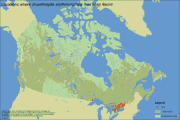 Distribution Map