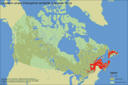 Distribution Map