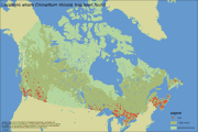 Distribution Map