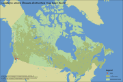 Distribution Map