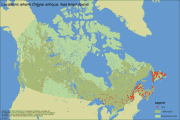 Distribution Map