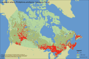 Distribution Map